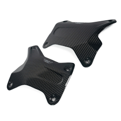 CMT Compositi - Carbon fiber engine guards